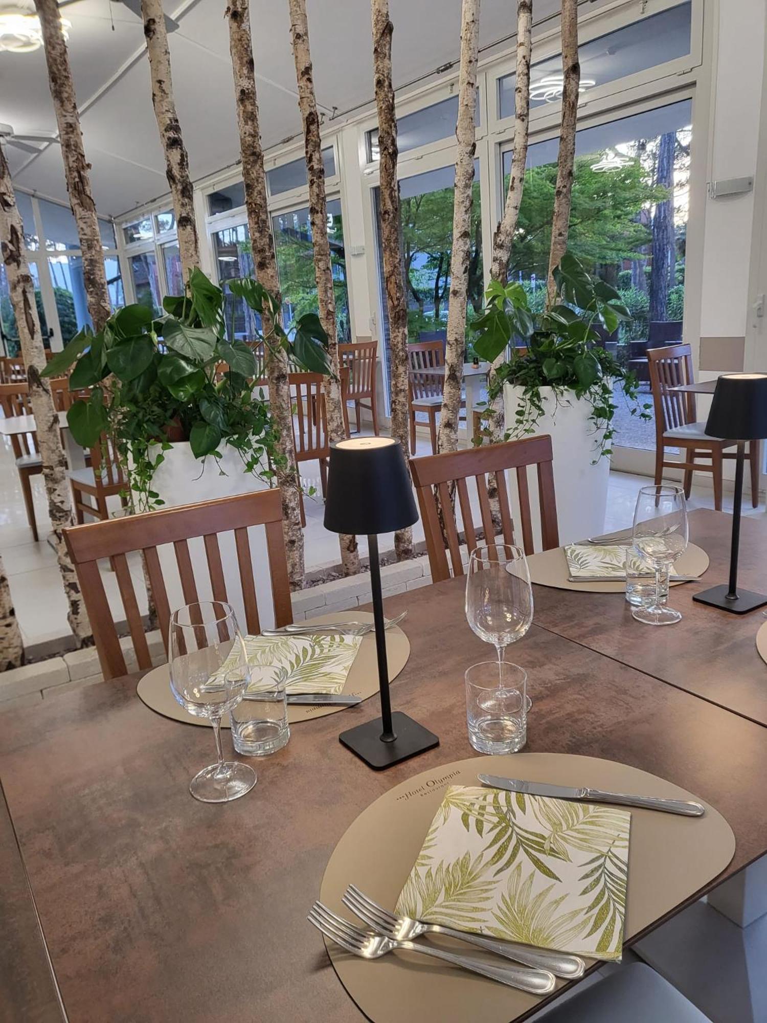 Hotel Olympia Линяно Сабиадоро Екстериор снимка